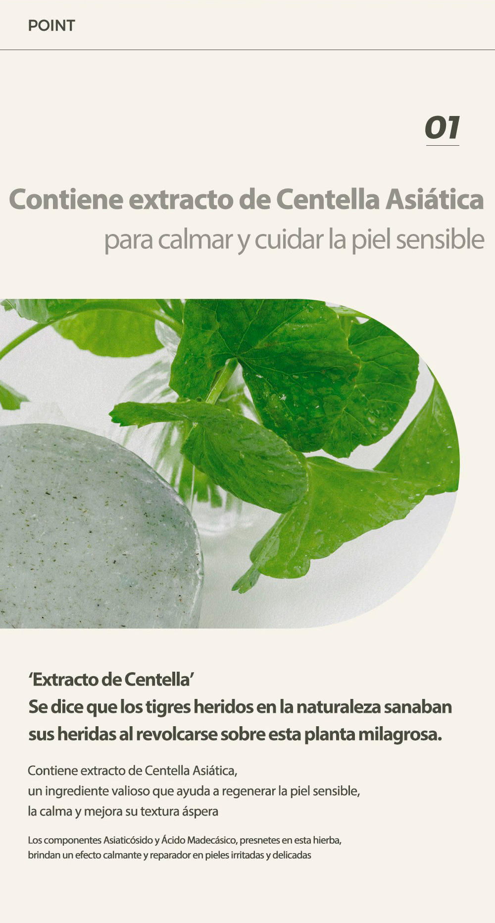 creama-solar-cica_03