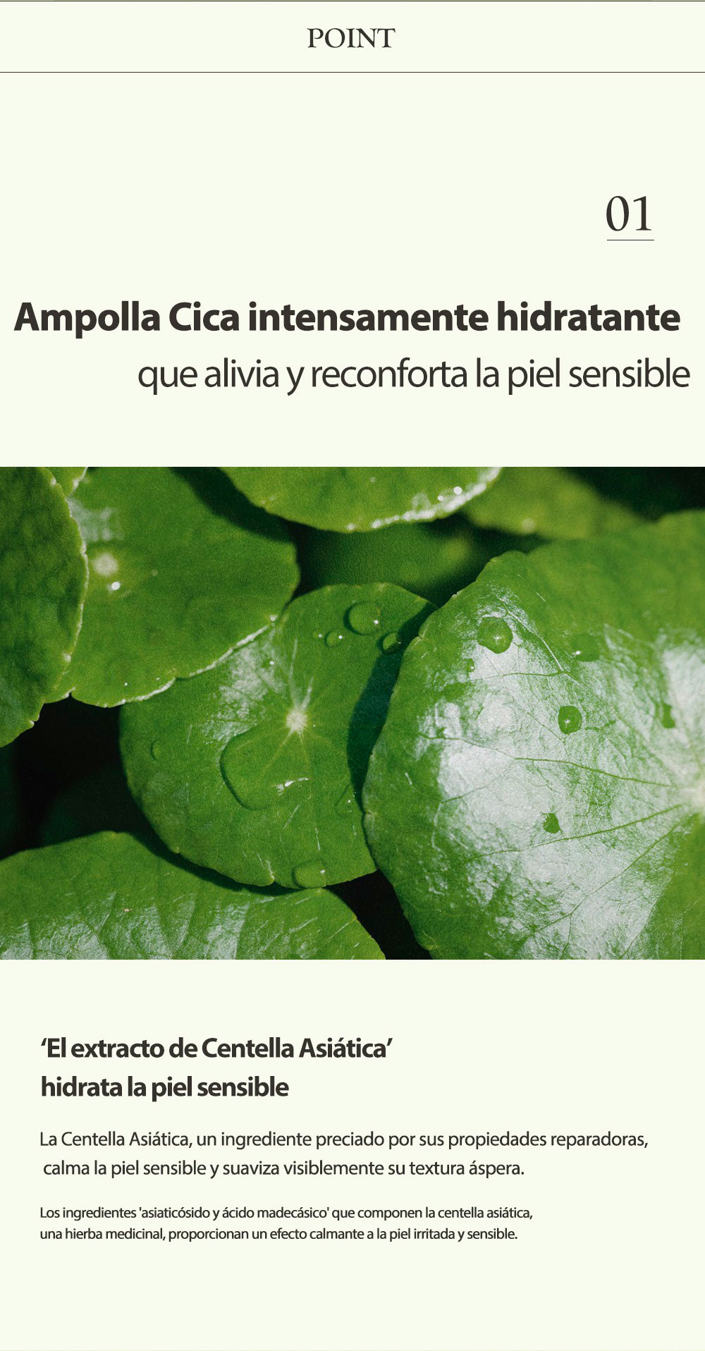 ampolla-cica_1_03