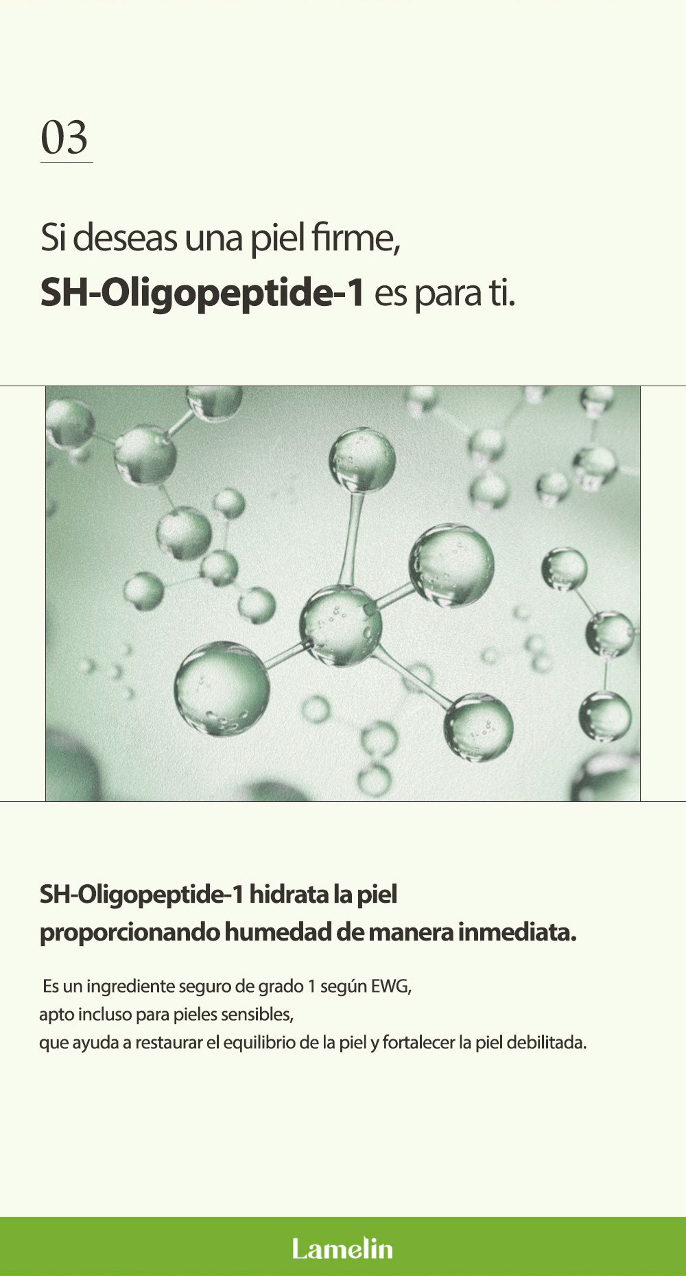 ampolla-cica_1_05