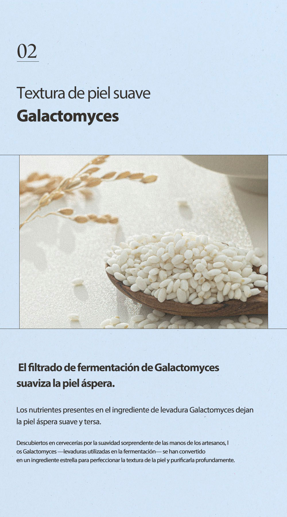 apolla-hialuronica_1_04