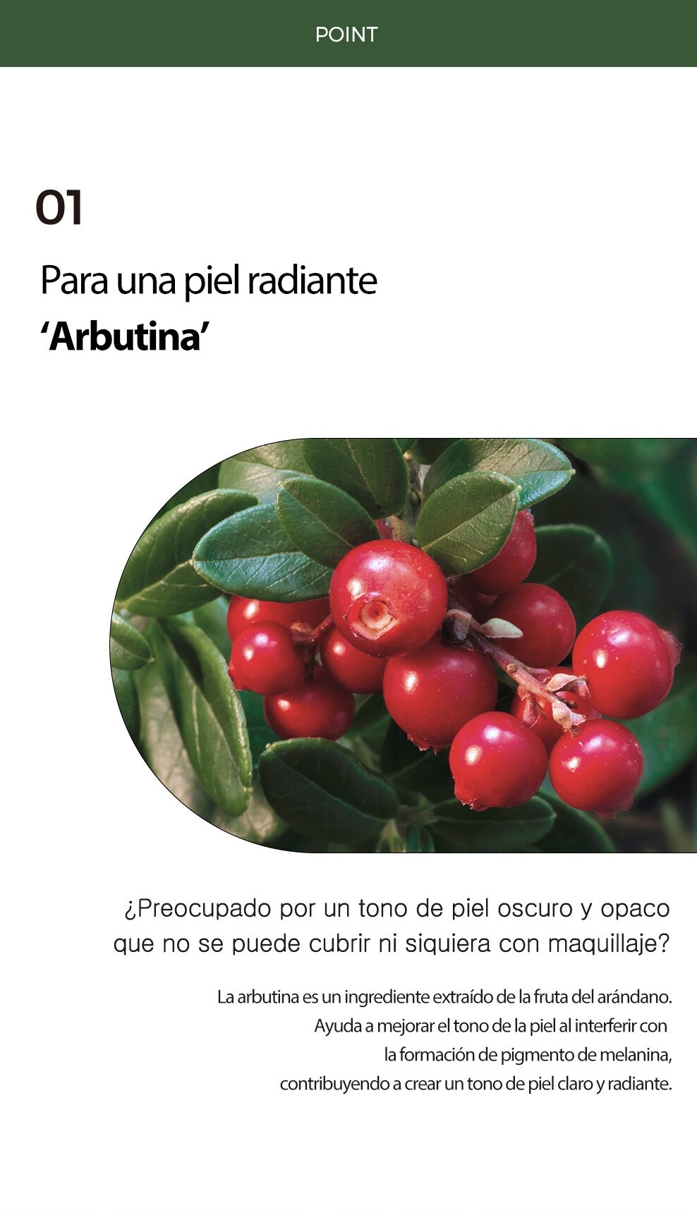 crema pura albutin_4
